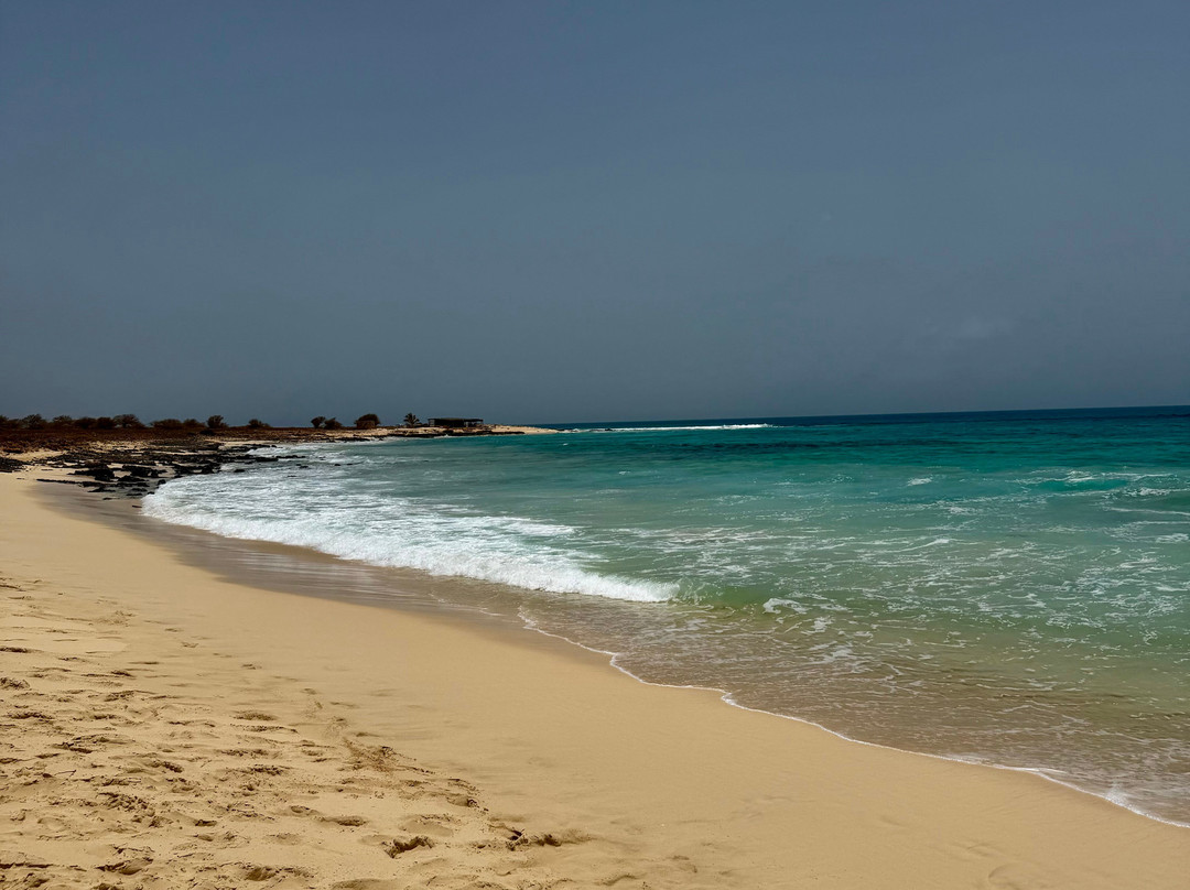 Pier Boa Vista Tours-博阿维斯塔必去景点