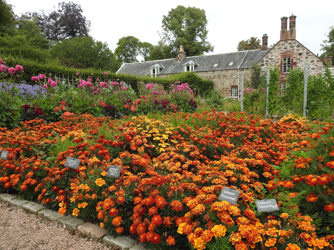Fyvie Castle-Fyvie必去景点