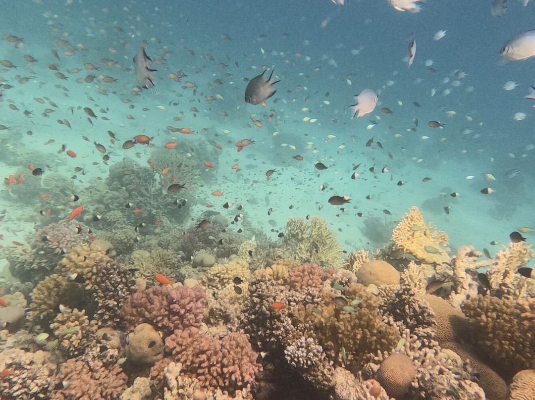 Erlebnis Ägypten-Safaga必去景点