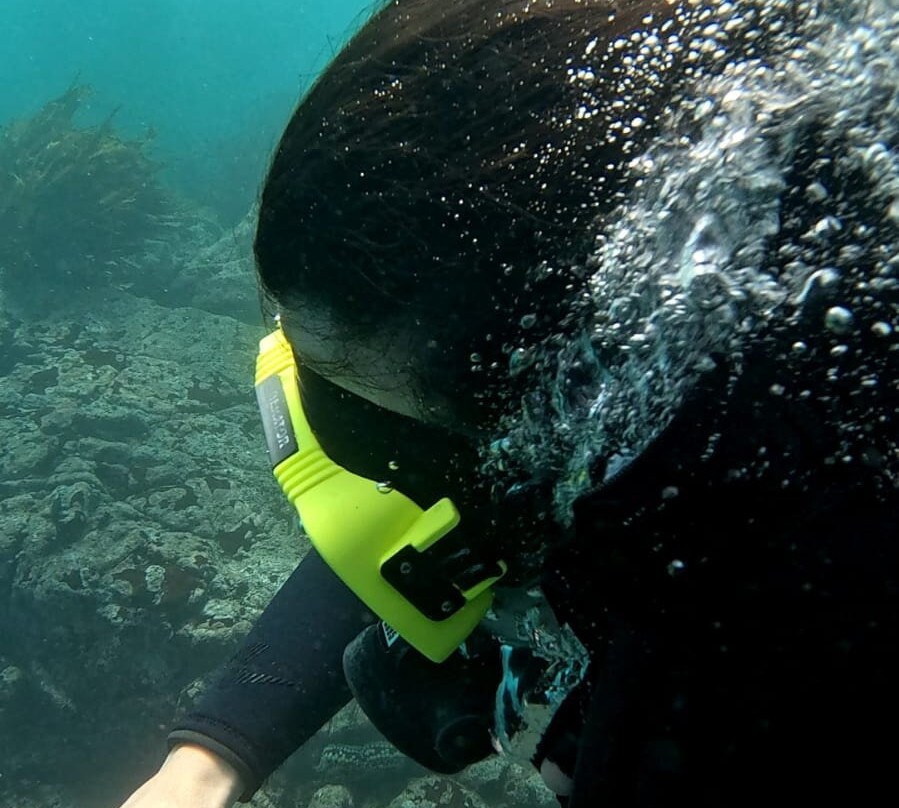 Buceo Quintay-Quintay必去景点
