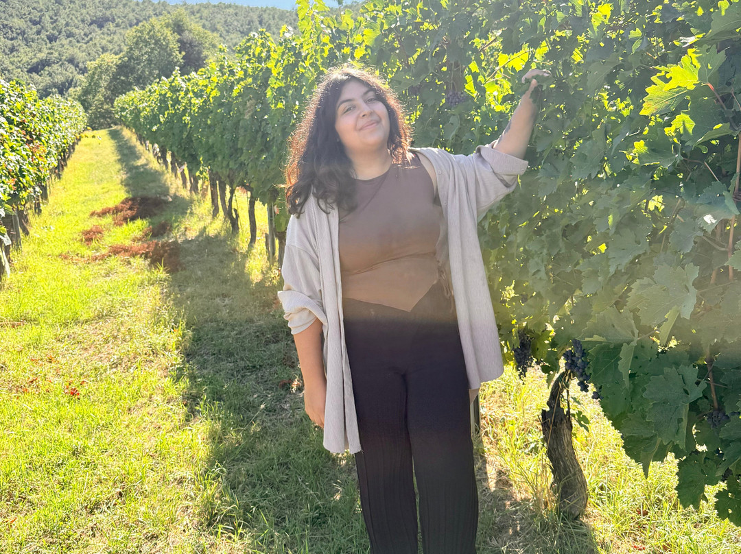 Podere Della Bruciata Winery-蒙特普尔恰诺必去景点