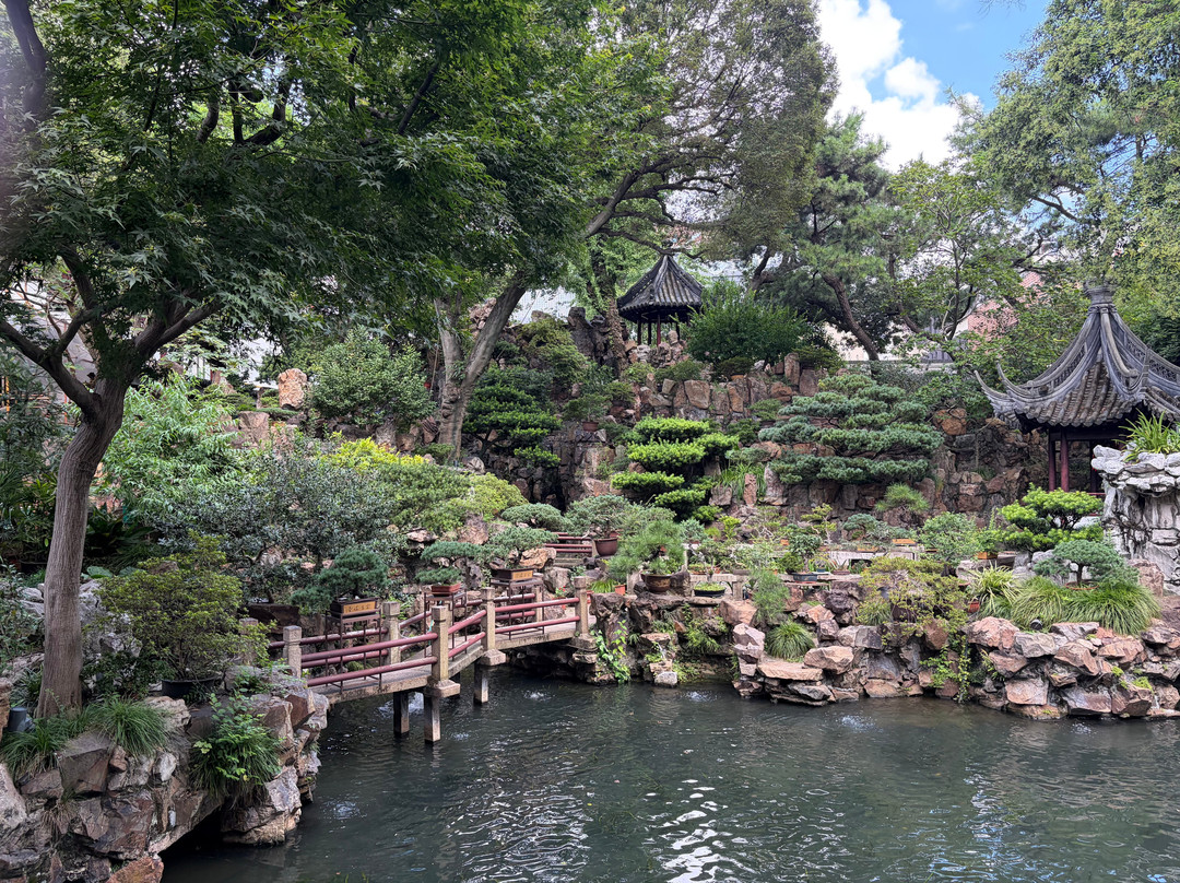 China Tours-西安市必去景点