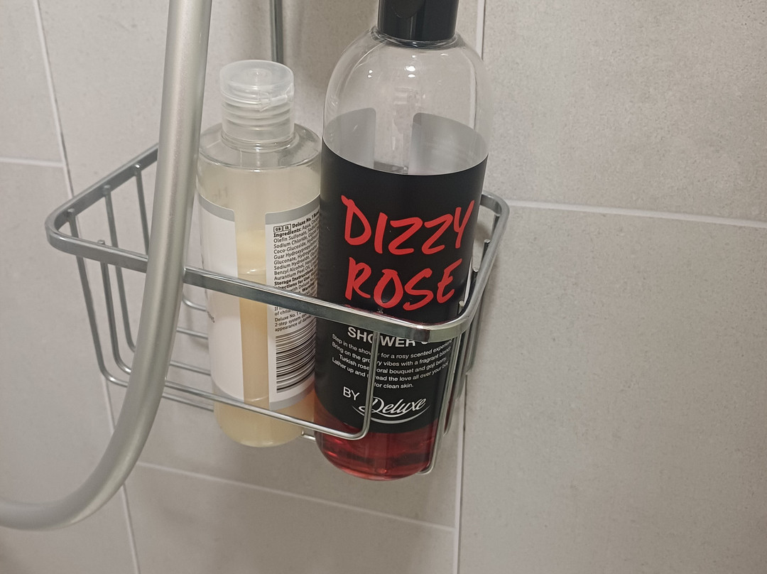 艾莱斯敦皇宫酒店主图