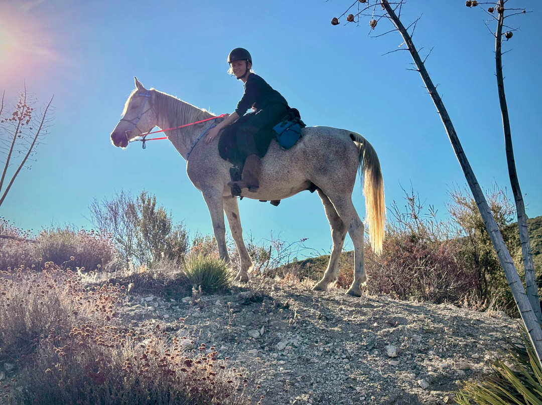 Running Horse Ranch-Lake Hughes必去景点