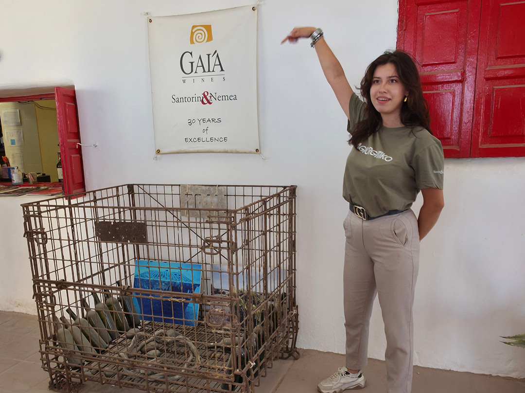 Gaia Winery-佩里沃罗必去景点