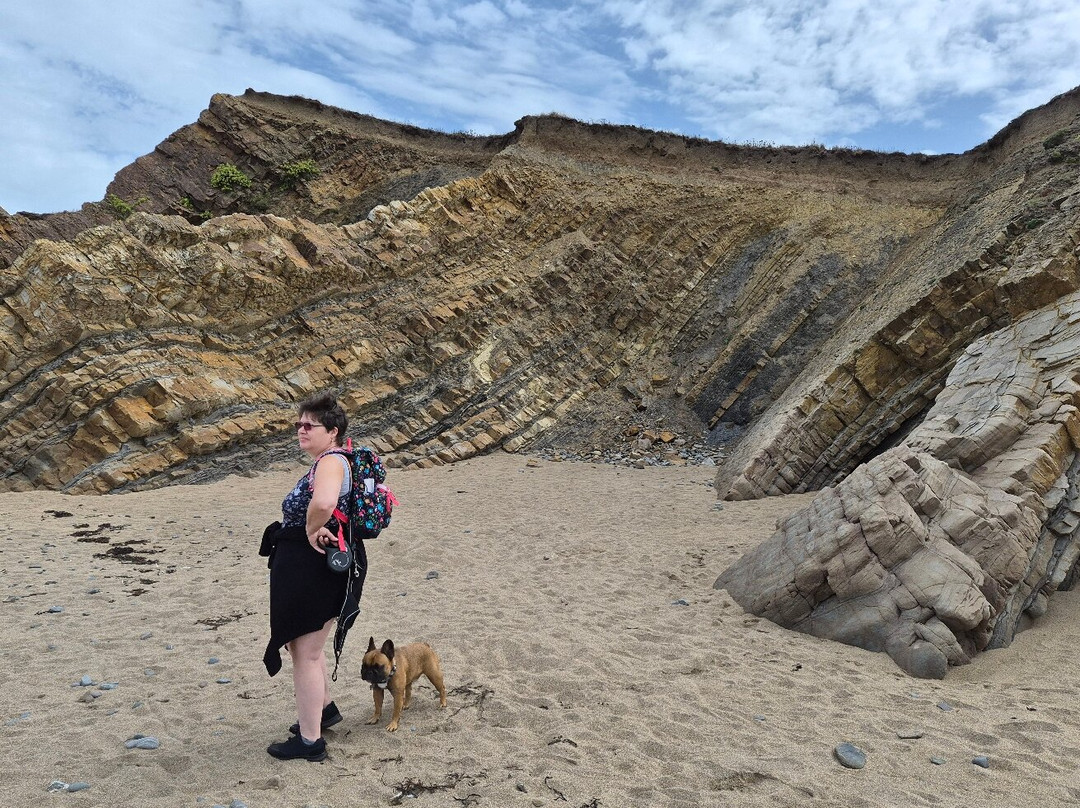 Black Rock Beach-Widemouth Bay必去景点