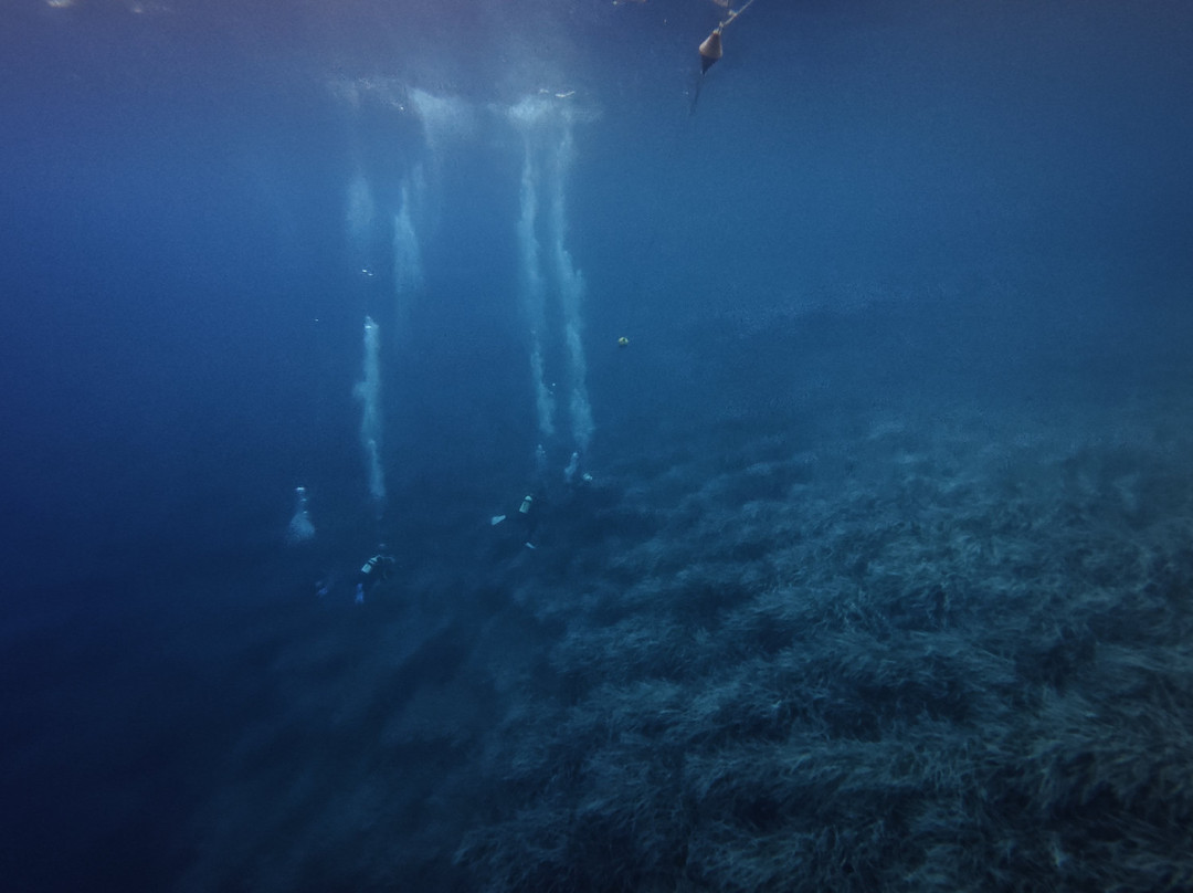 Orca Diving Ustica-Ustica必去景点