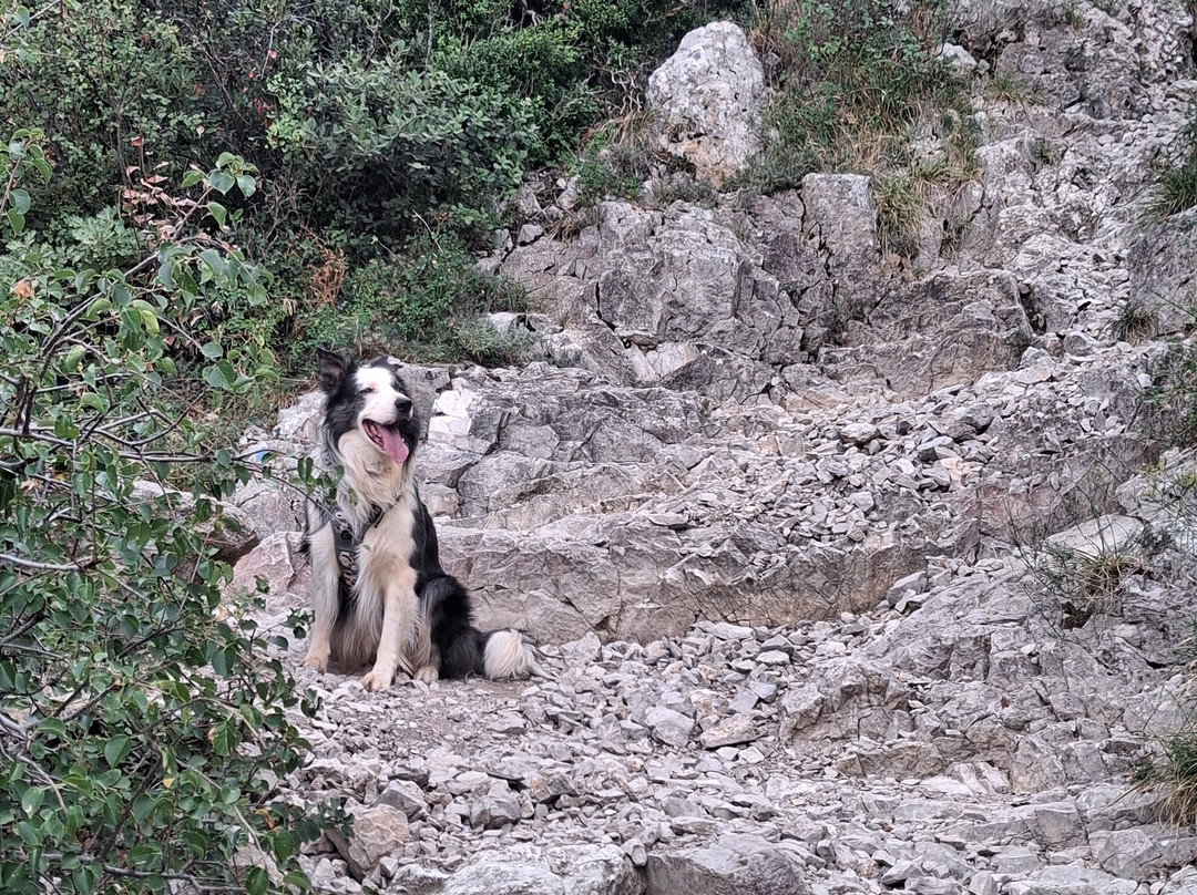 Dentelles De Montmirail-Gigondas必去景点