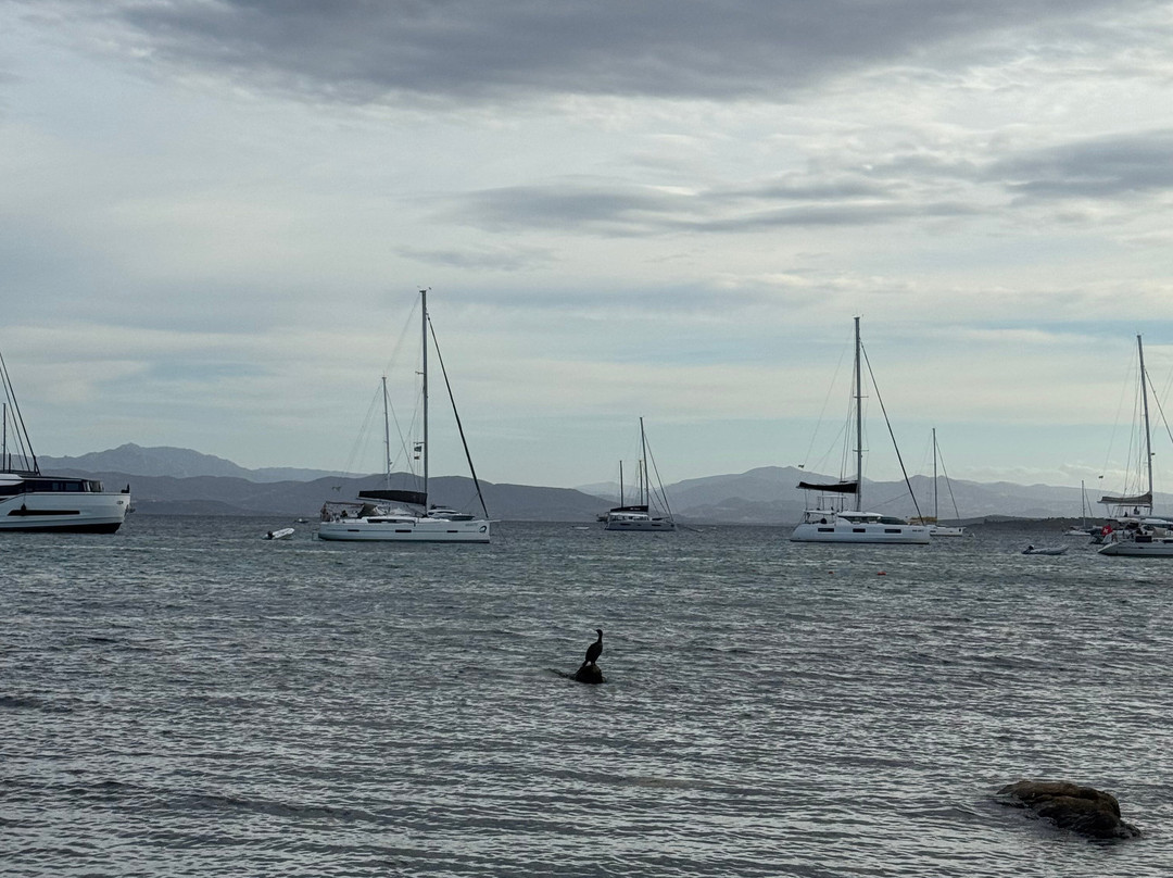 Lungomare Golfo Aranci la sirenetta-Golfo Aranci必去景点