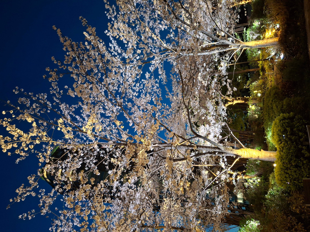 Tokyo Midtown Garden-Akasaka必去景点