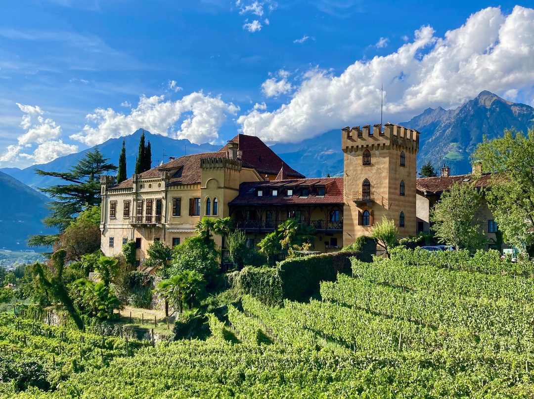 Castello Rametz - Wine Museum-梅拉诺必去景点
