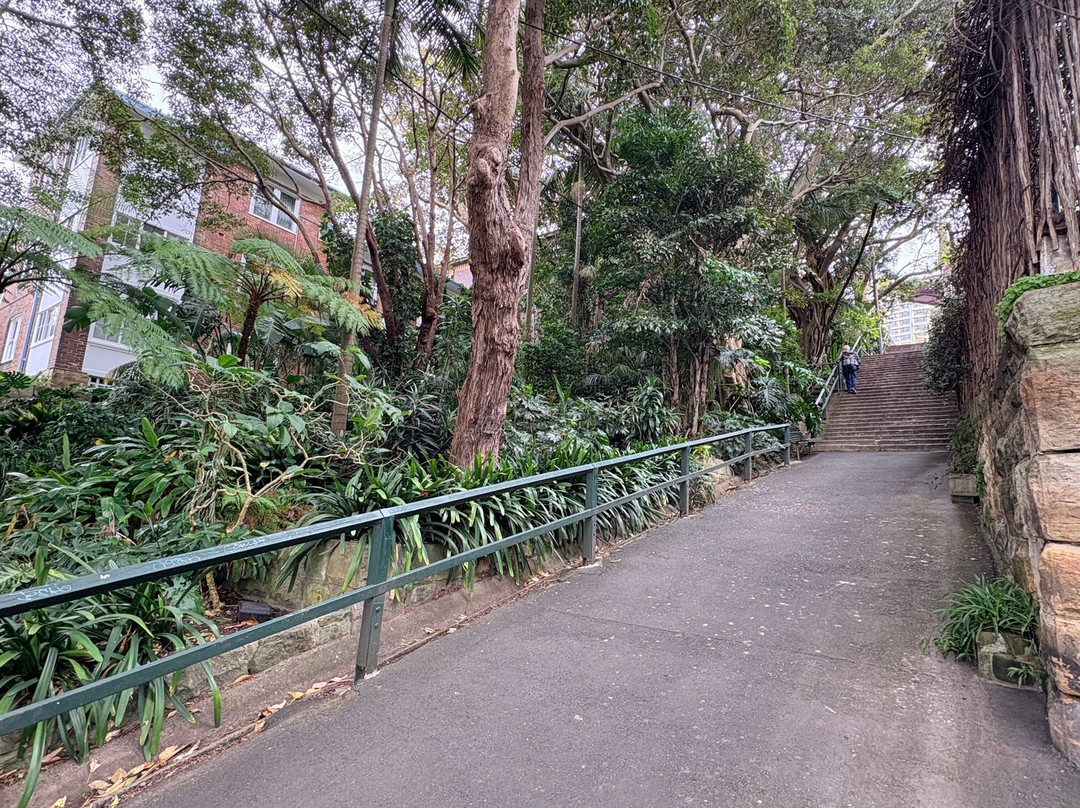 Wendy Whiteley's Secret Garden-北悉尼必去景点