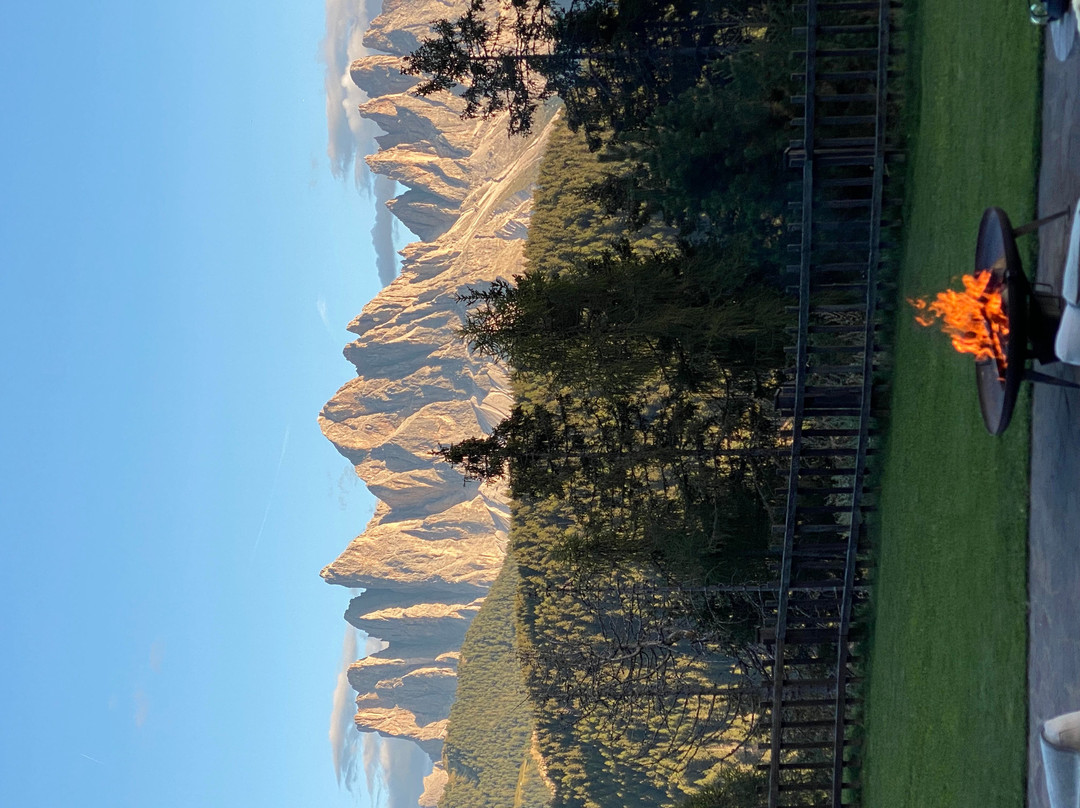 福雷斯蒂斯酒店Forestis Dolomites（意大利）主图