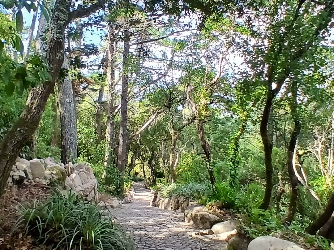 蒙塞拉特宫-辛特拉必去景点