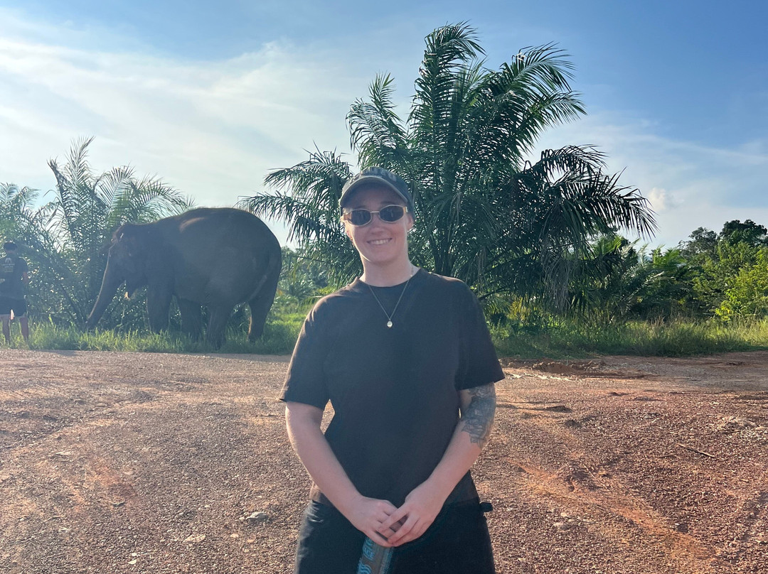 Following Giants - Krabi-Khlong Hin必去景点