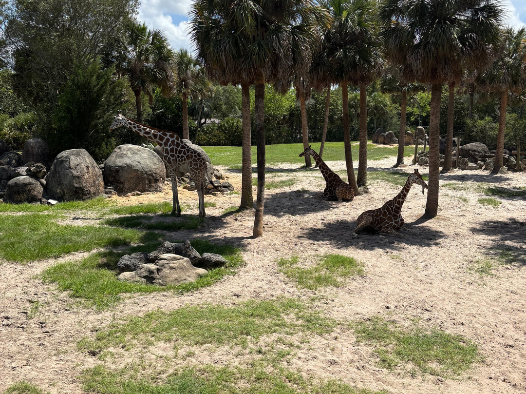 Jacksonville Zoo & Gardens-杰克逊维尔必去景点