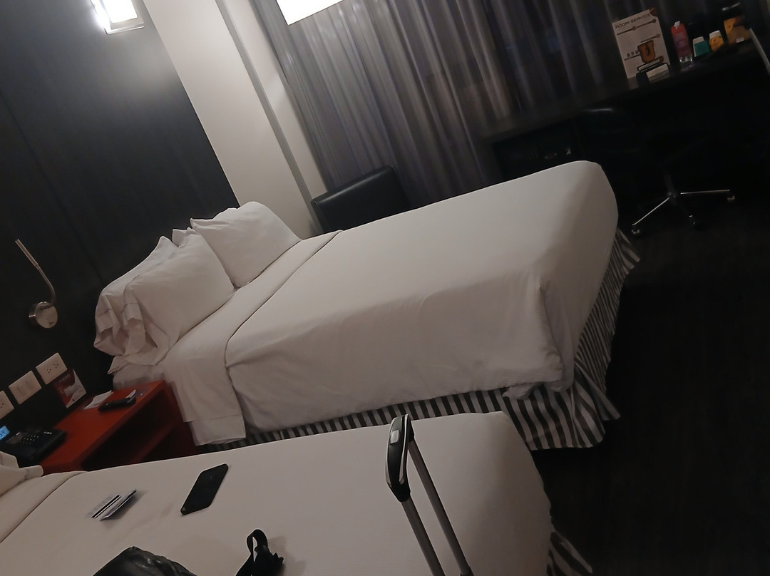 阿瓜斯卡连特斯市华美达安可酒店主图