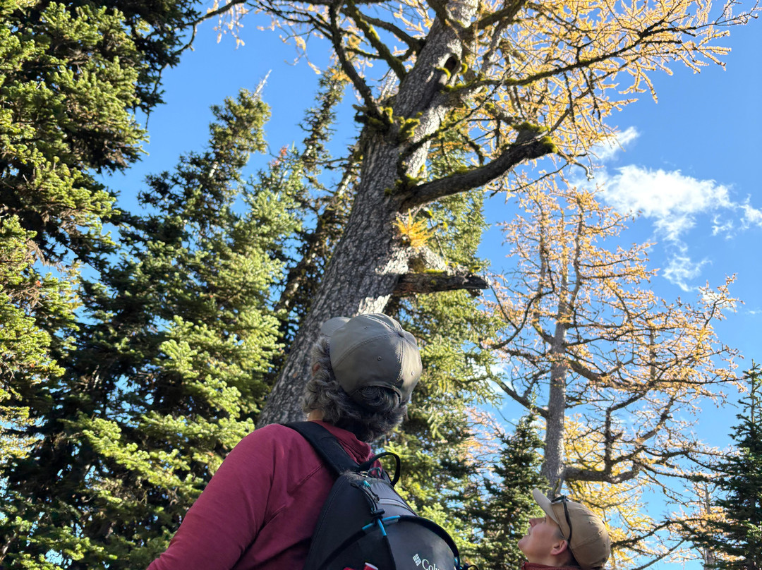 Tamarack Adventures: Waterton Guided Hiking & Kayak Tours – Local Expert Experience-Waterton必去景点