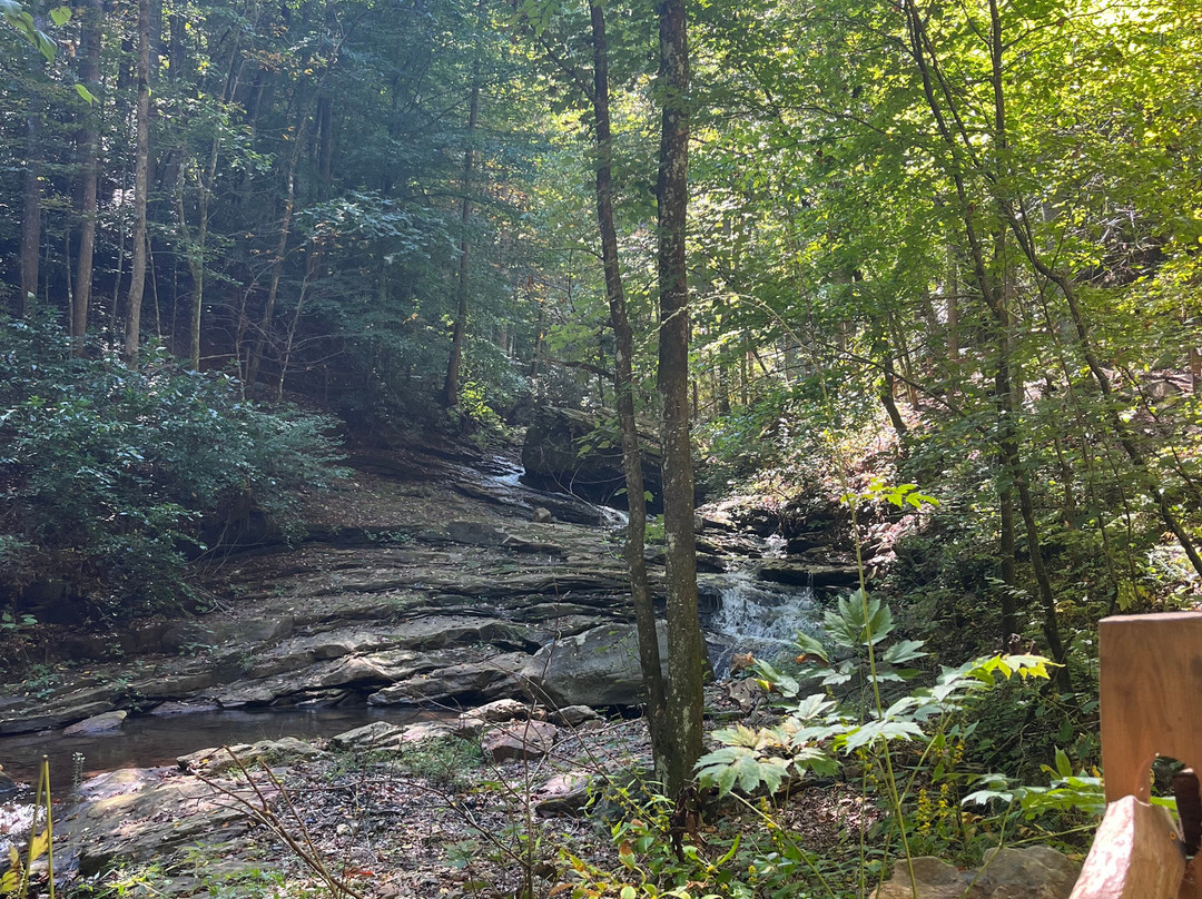 Pearson's Falls Glen-Saluda必去景点