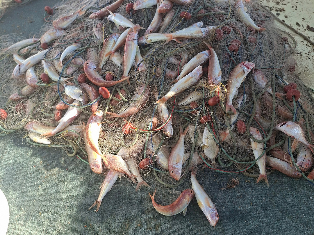 Fishing porto rafti-Porto Rafti必去景点