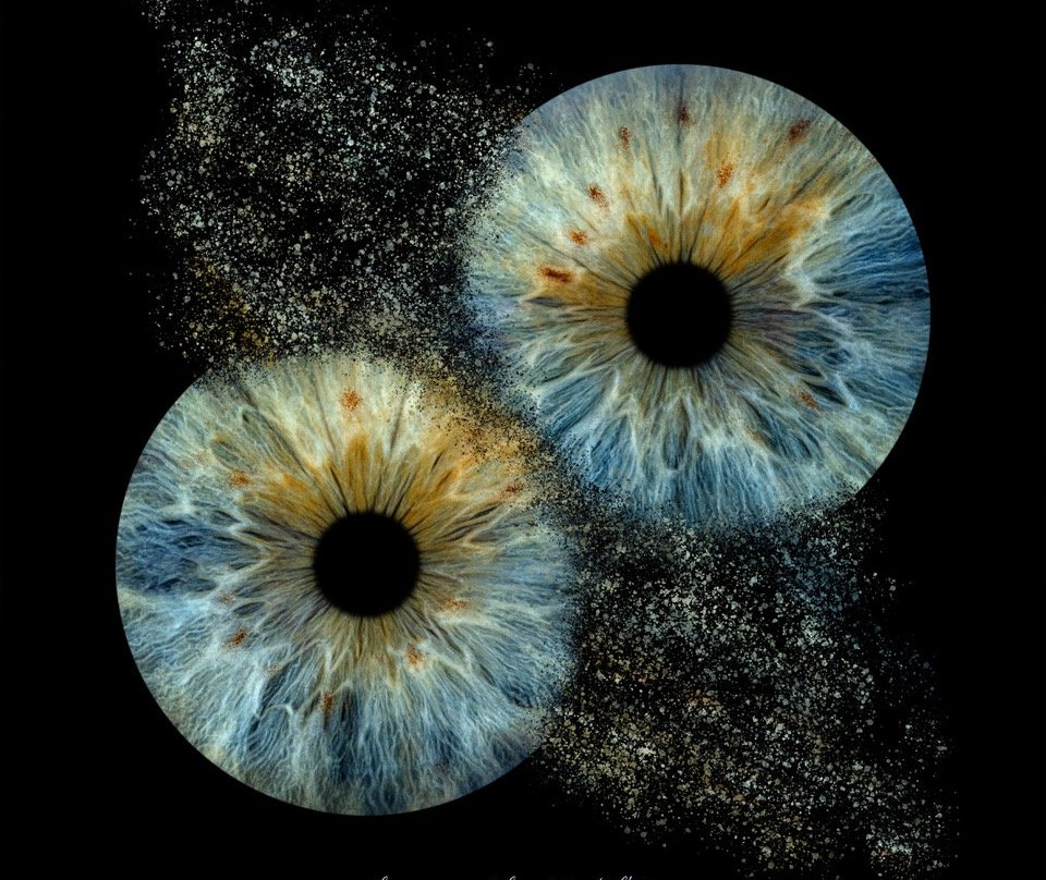 Iris Galerie Gent