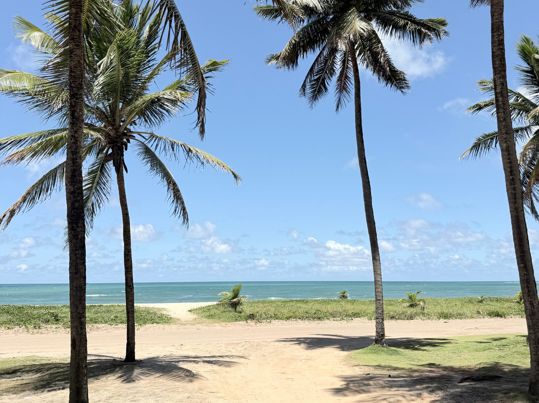 Pontal de Maracaipe-嘎林海斯港必去景点