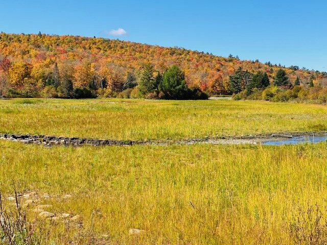 Coffin Pond Conservation Area