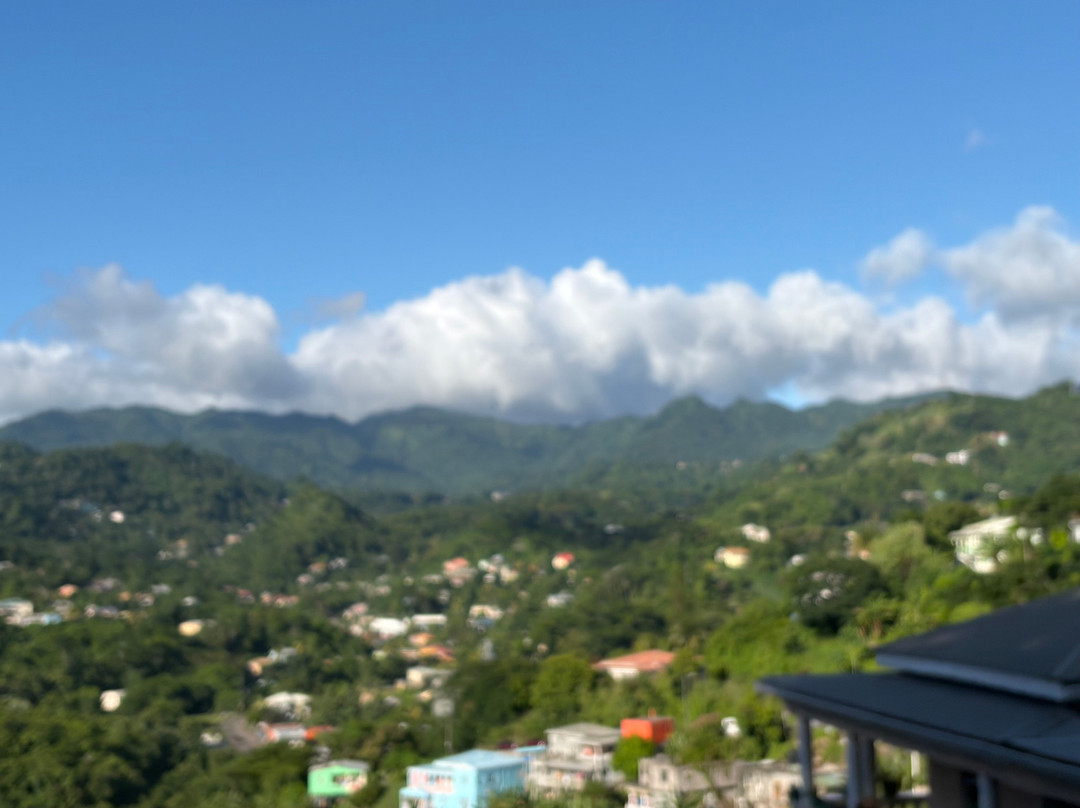 A Sweet Grenada Tours & Taxi-格林纳达必去景点