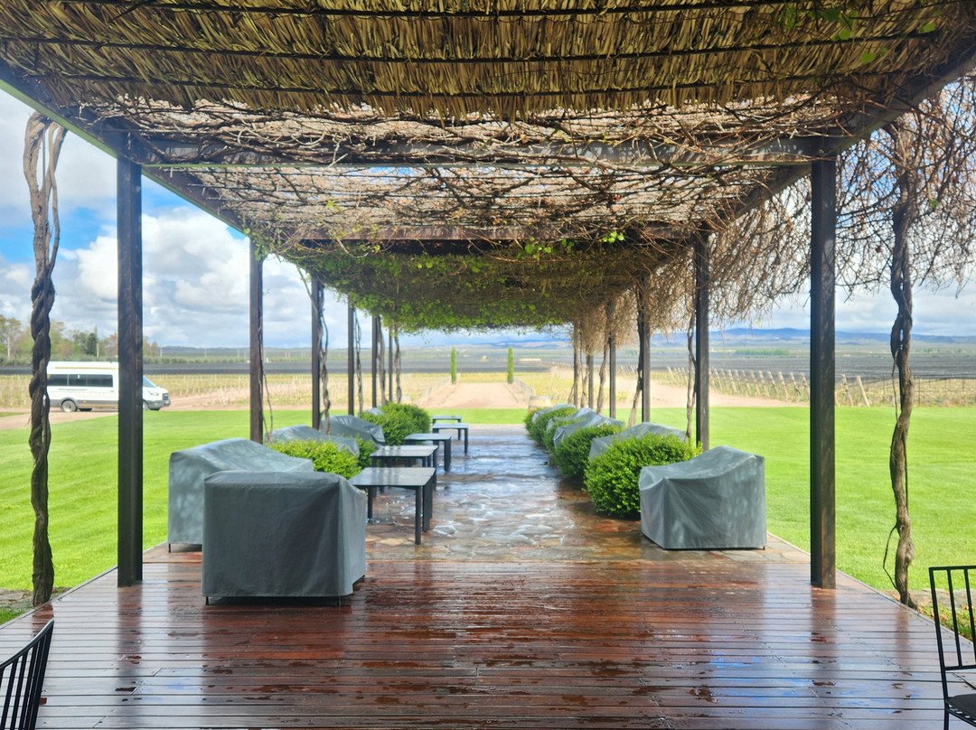 Pulenta Estate Winery-阿格雷洛必去景点