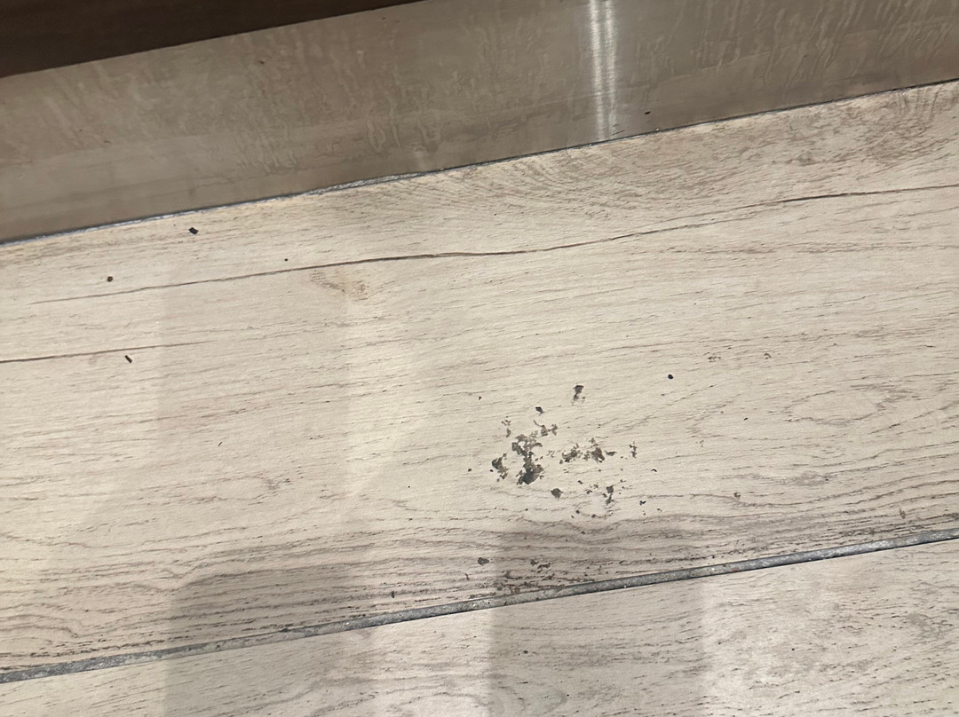 辛辛那提布鲁艾施凯悦嘉轩酒店主图