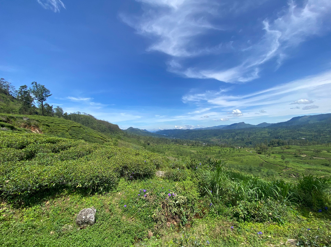 Ceylon Footprints-Padukka必去景点