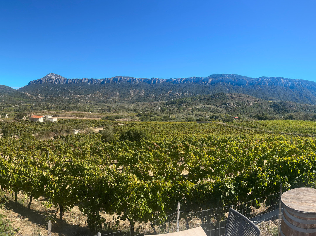 Wine Tasting Berritta-Dorgali必去景点