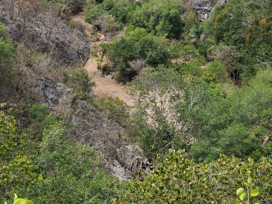 Francois Leguat Reserve-罗德里格斯岛必去景点