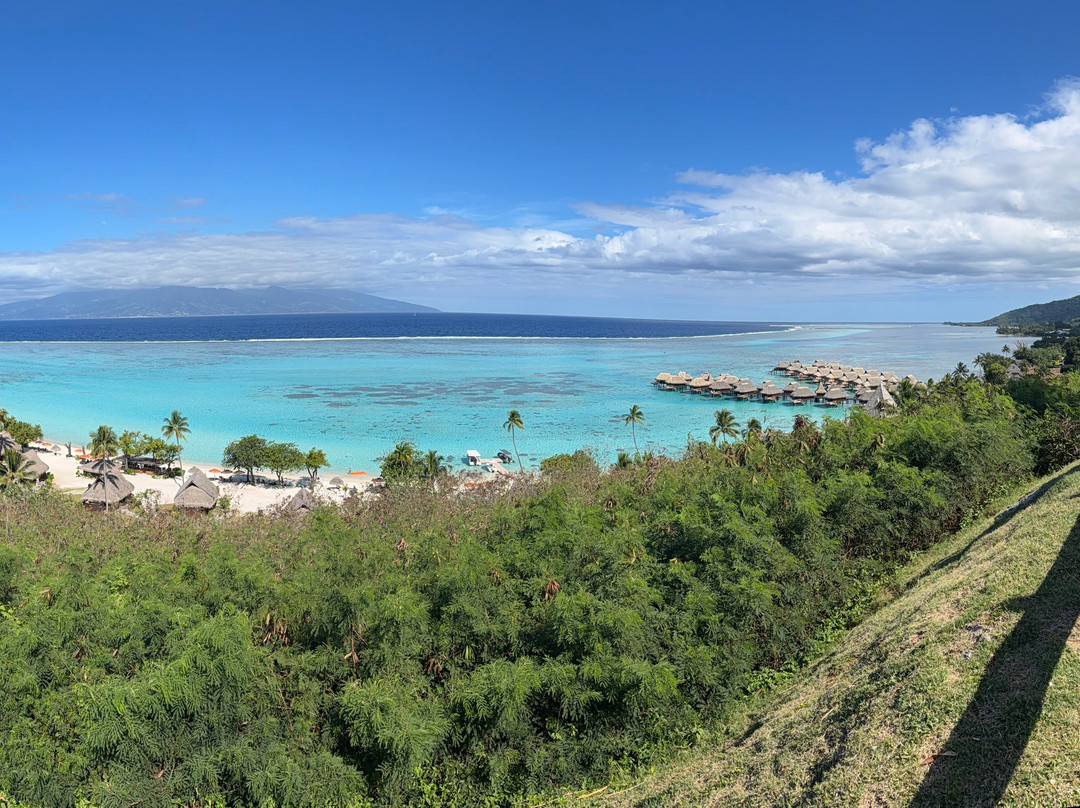 Toatea Lookout-莫雷阿岛必去景点