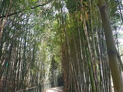 Wolgok History Park-大邱必去景点
