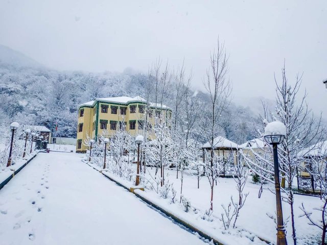 White Boutique Hotel Gabala-官方