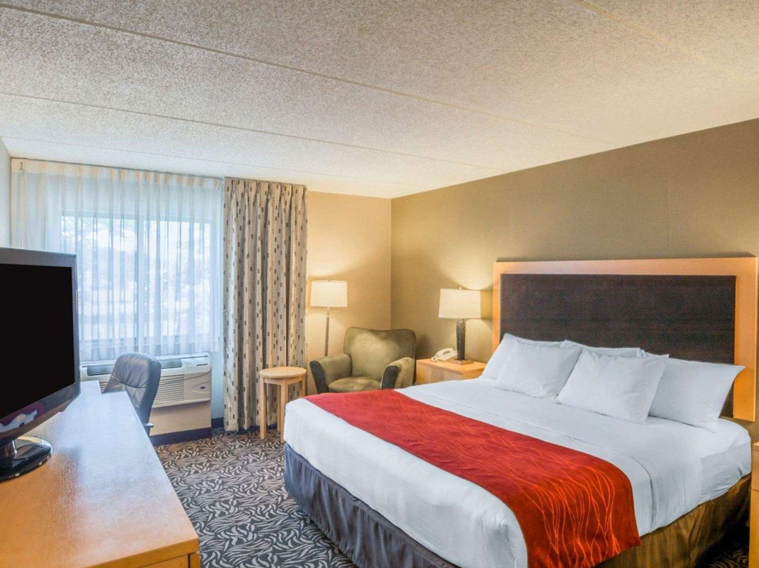 Comfort Inn Fairgrounds主图