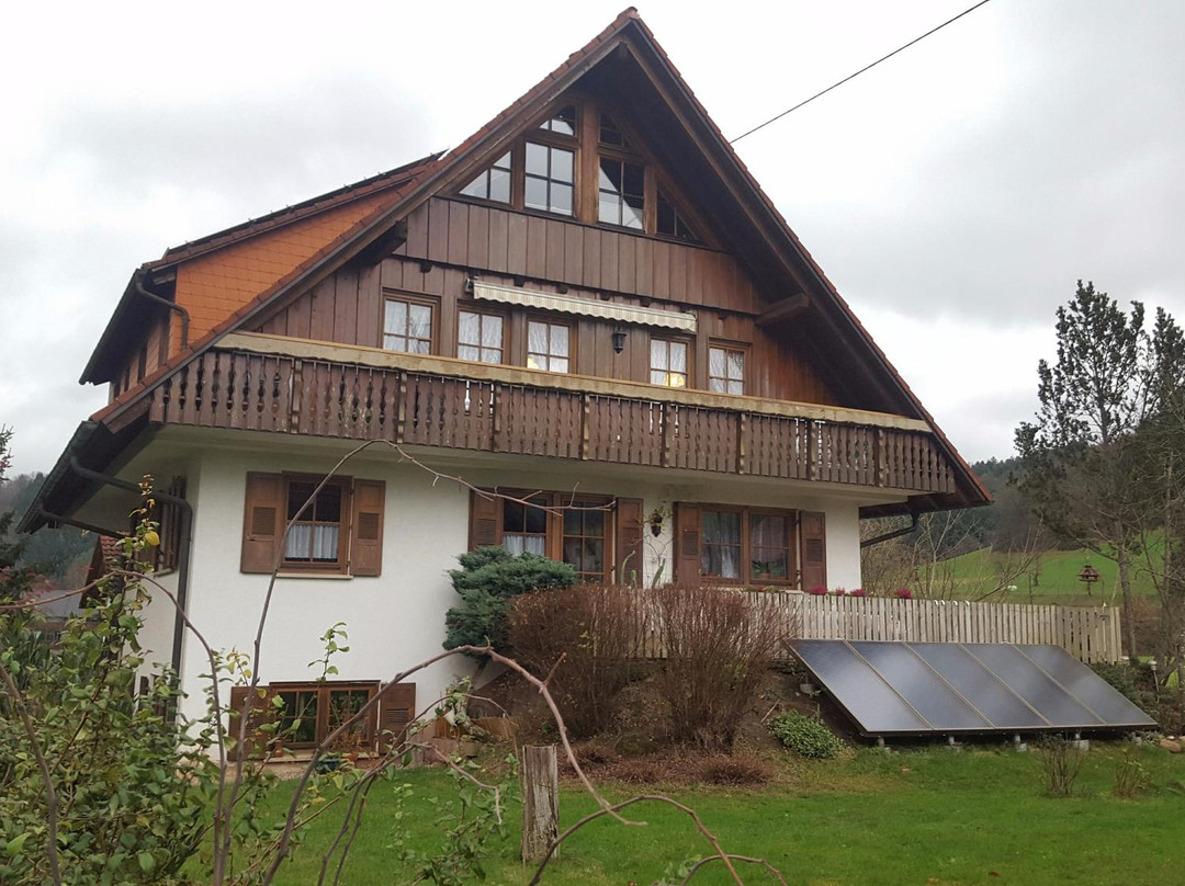 Gutach im Schwarzwald酒店住宿-Joklisbauernhof