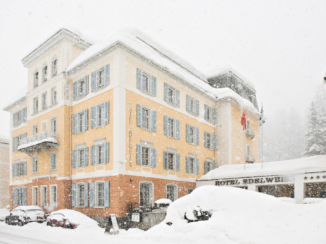 Sils im Engadin酒店住宿-Hotel Edelweiss