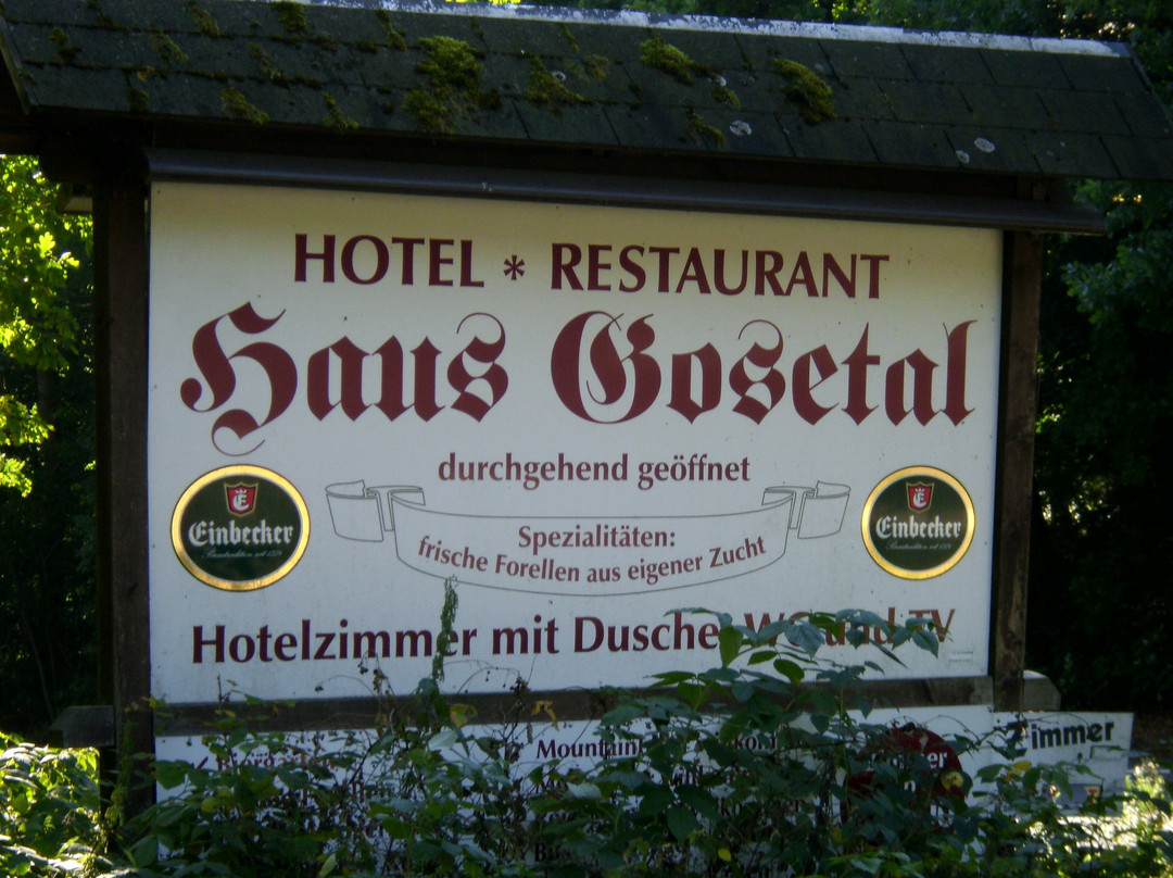 Hotel Restaurant Haus Gosetal
