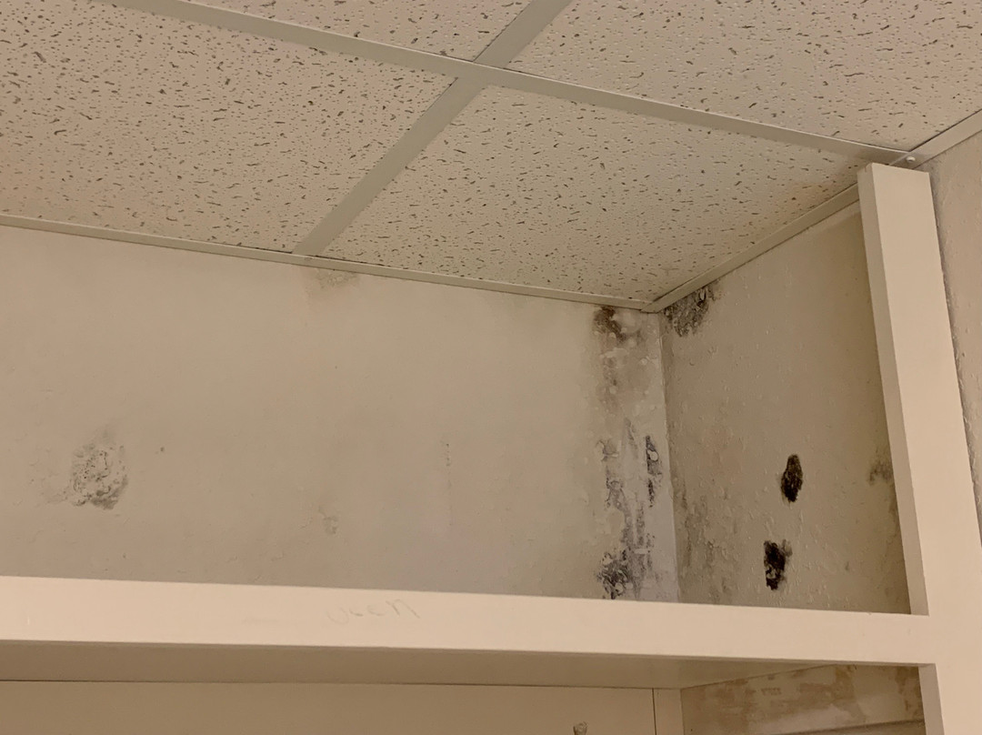 Bells酒店住宿-谢尔曼希尔顿恒庭酒店