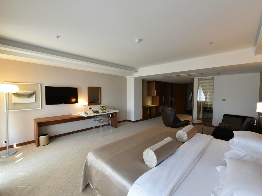 Podgorica Municipality酒店住宿-Hotel Aurel