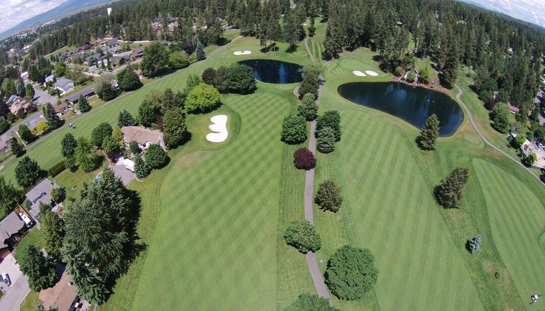 Avondale Golf Course景点图片