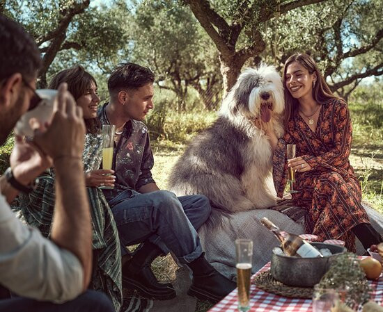 Picnic in Leeda's Farm景点图片