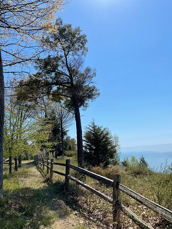 Magoon Creek Park景点图片