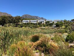 Norval Foundation-Tokai必去景点