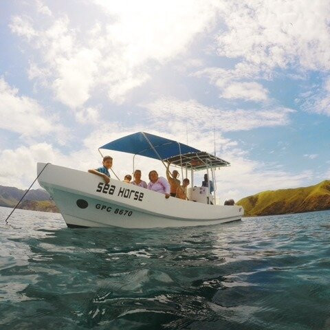 SeaHorse Ocean Tours-Playas del Coco必去景点
