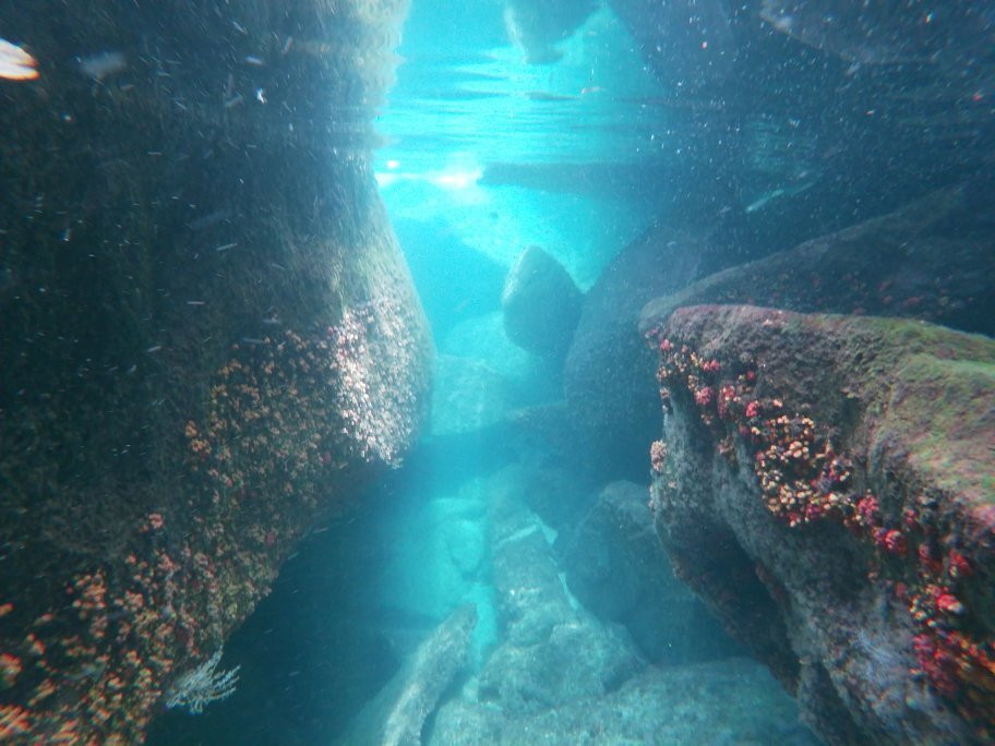 Chama maré táxi boate-Paraty Mirim必去景点