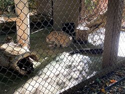 Brukner Nature Center-Troy必去景点