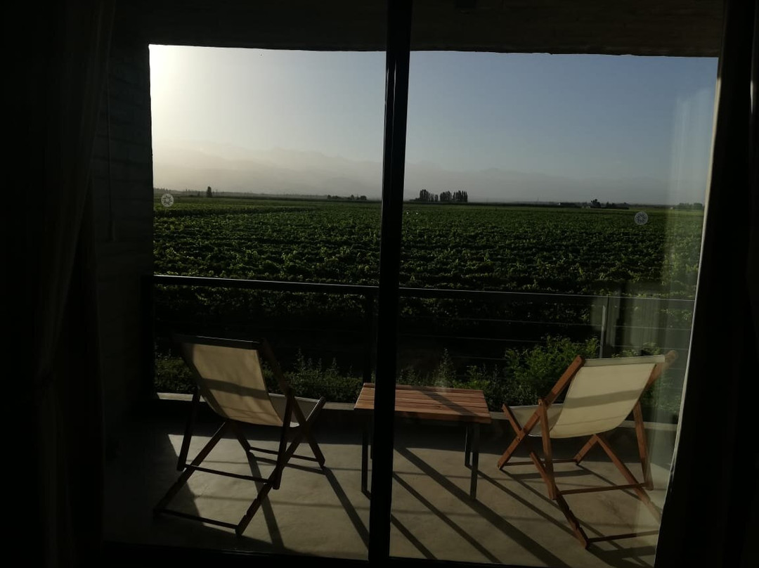 Casa De Huespedes Finca La Azul主图